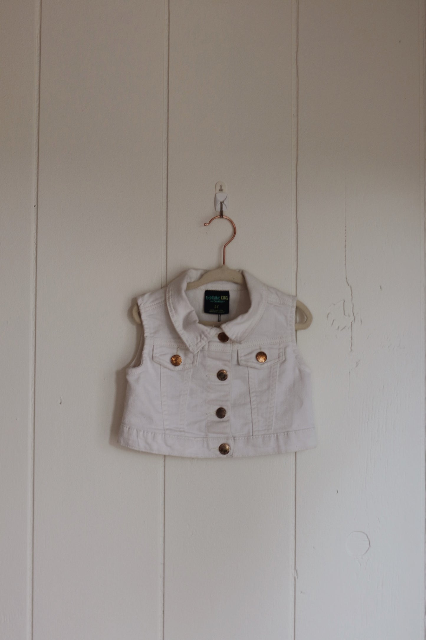 hot air balloon vest
